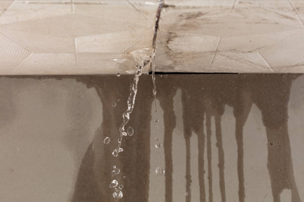 Professional Water Damage Inspection technician working in Yellow Springs, OH